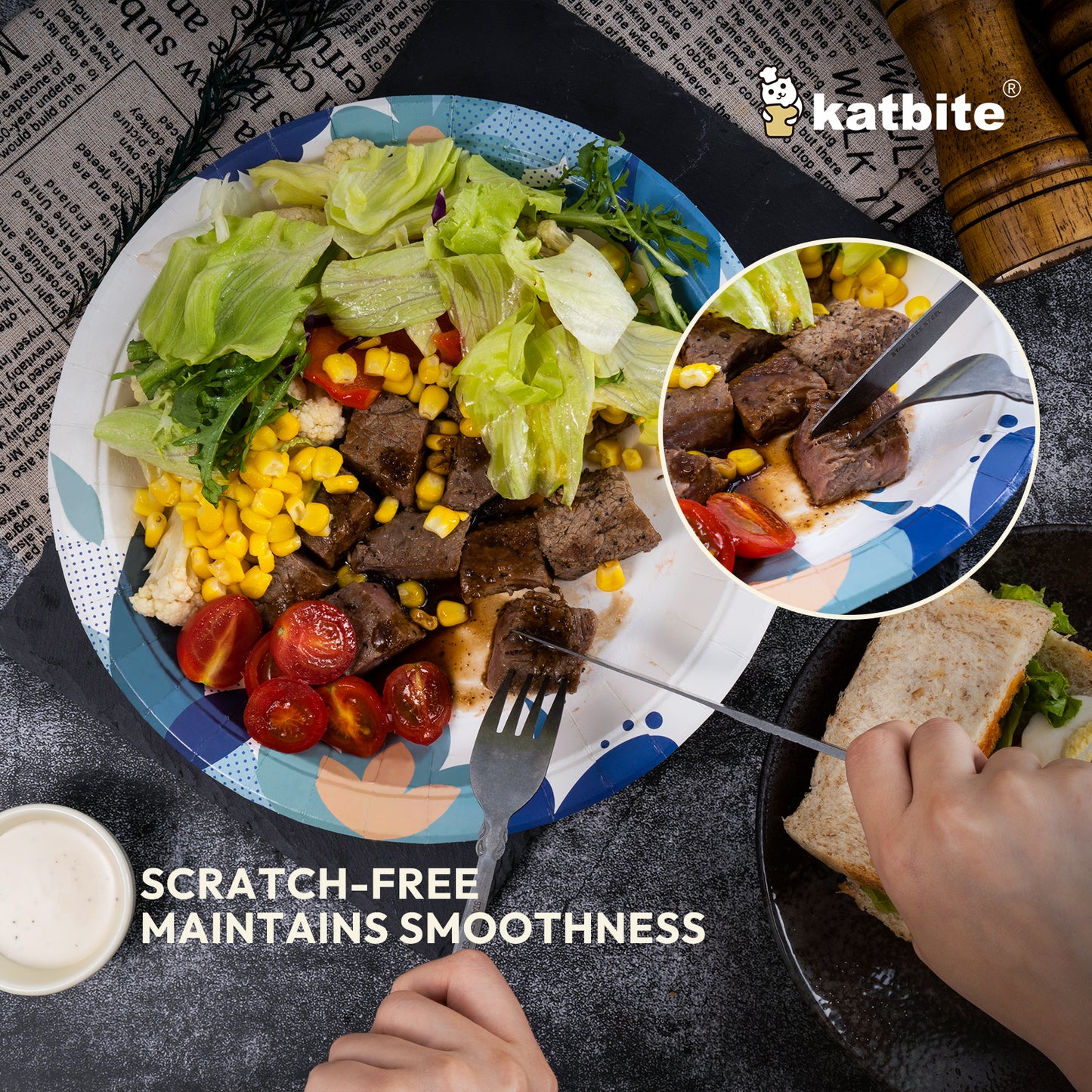 Katbite Biodegradable Disposable Paper Plates, 10-Inch, 100 Count